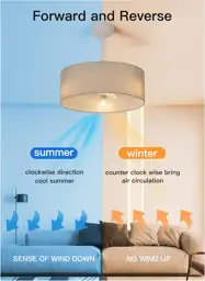 20-In Ceiling Fan with Lights… — Photo 2