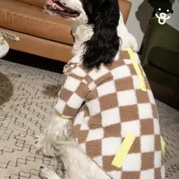 Oodles Tan Sherpa Bubble Hem… — Photo 2