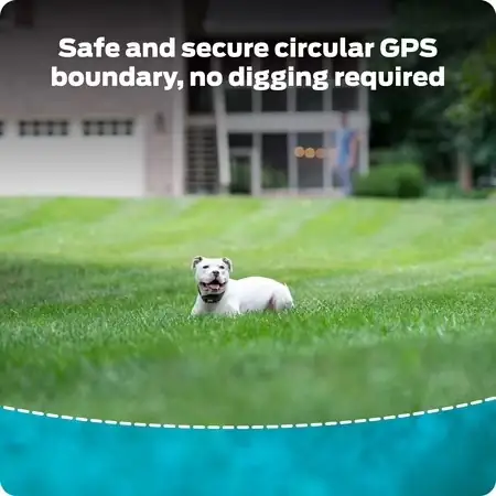 Premier Pet GPS Dog Fence… — Photo 2