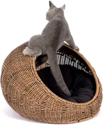 D+GARDEN Wicker Cat Bed Dome… — Photo 1