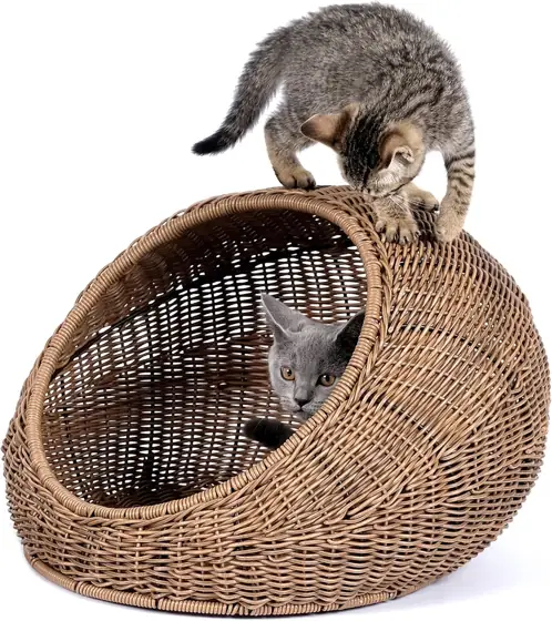 D+GARDEN Wicker Cat Bed Dome… — Photo 2