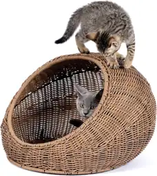 D+GARDEN Wicker Cat Bed Dome… — Photo 2