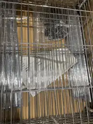 Silver 5-Tier Heavy-Duty Steel Freestanding… — Photo 5