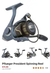 Pflueger President Spinning Reel — Photo 1