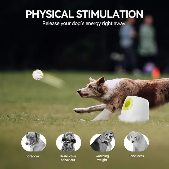 AFP Automatic Dog Ball Launcher… — Photo 2