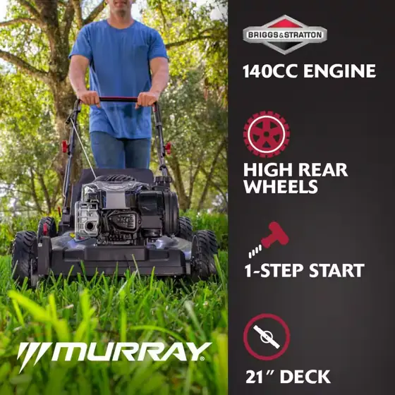 Briggs & Stratton 21 in.… — Photo 2