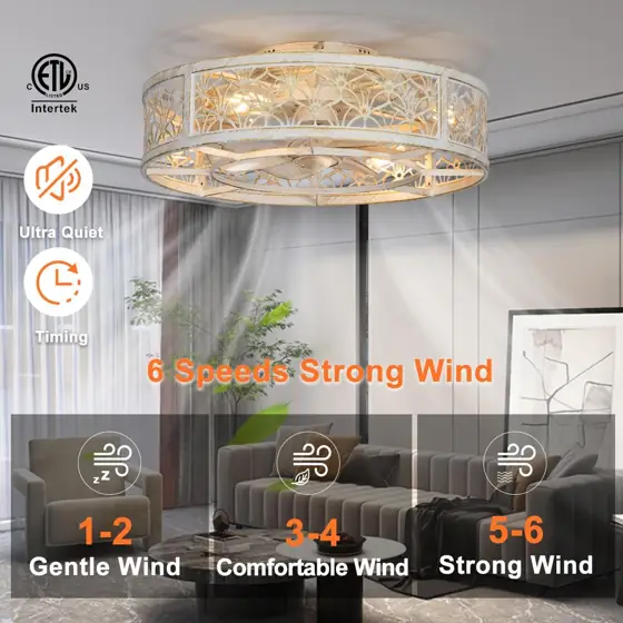 SHLUCE 20" Low-Profile Caged Ceiling… — Photo 2