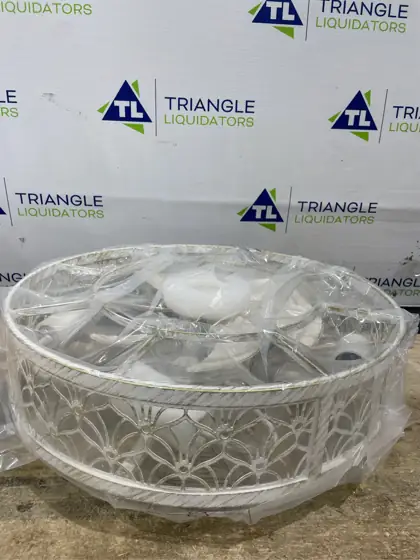 SHLUCE 20" Low-Profile Caged Ceiling… — Photo 4