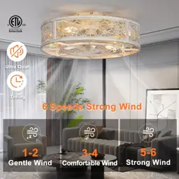SHLUCE 20" Low-Profile Caged Ceiling… — Photo 2