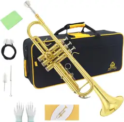 Trumpet Instrument for Beginners, with… — Photo 1
