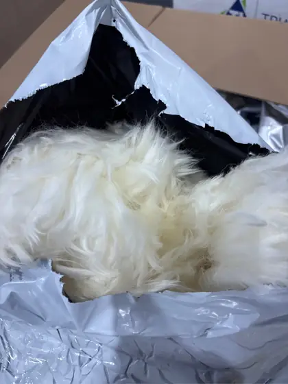 Champlus Genuine Australian Merino Sheepskin… — Photo 4