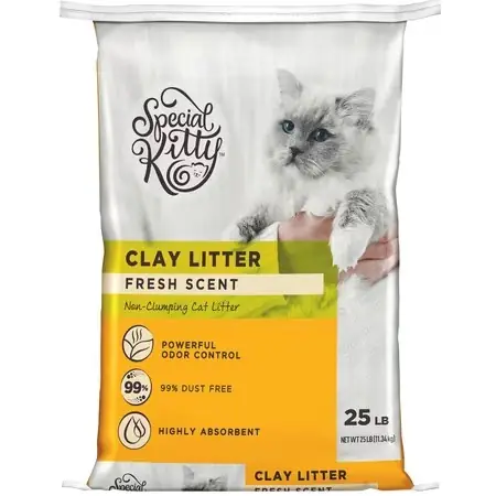Special Kitty Non-Clumping Clay Cat… — Photo 1