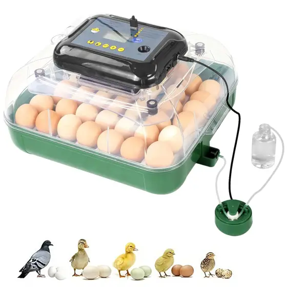 24 Egg Incubator for Hatching… — Photo 1