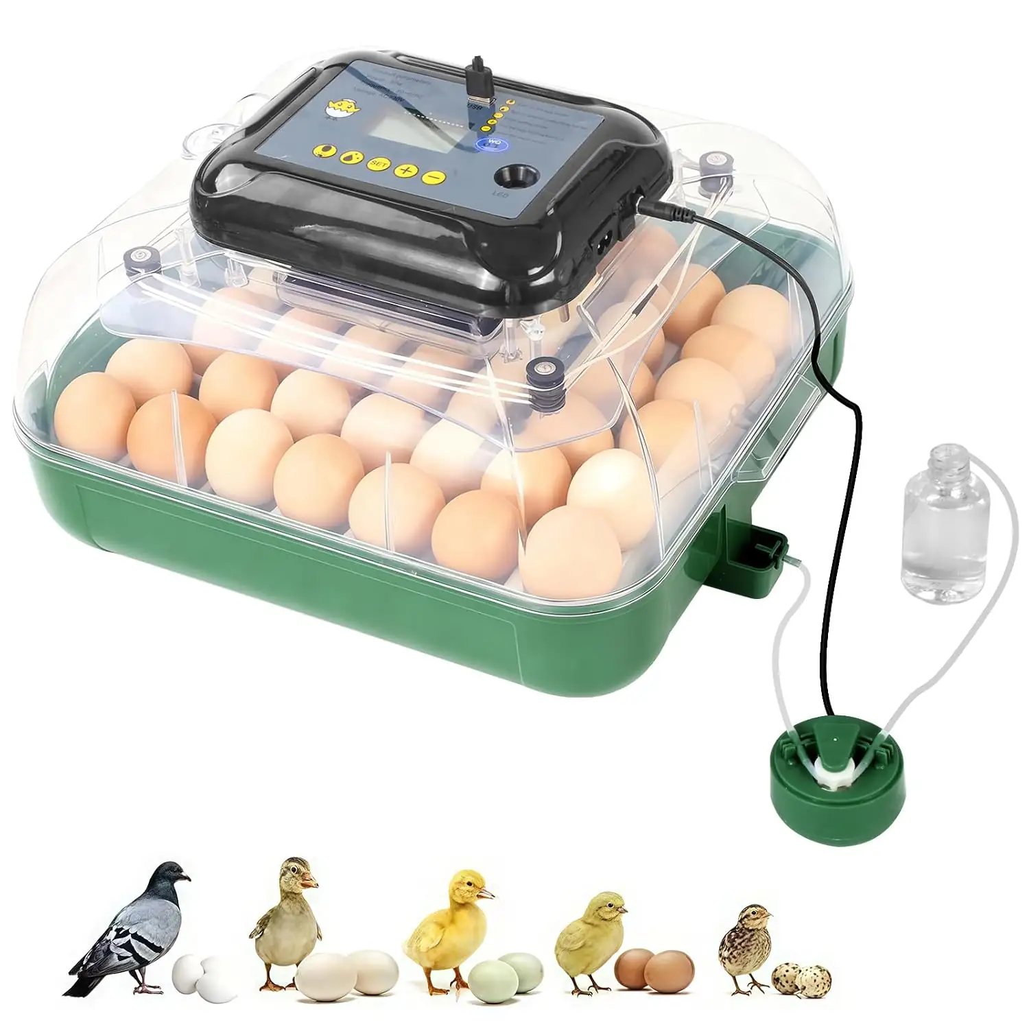 24 Egg Incubator for Hatching… — Photo 1