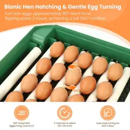 24 Egg Incubator for Hatching… — Photo 2
