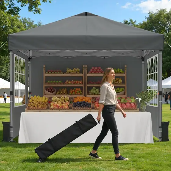 Raynesys 10x10ft Pop Up Canopy… — Photo 1