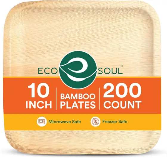 ECO SOUL 10 Inch Disposable… — Photo 1