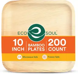 ECO SOUL 10 Inch Disposable… — Photo 1