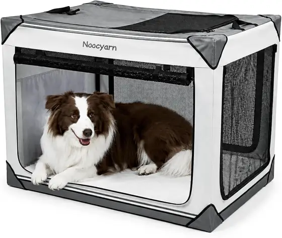 Collapsible Dog Crate 36-Inch with… — Photo 1