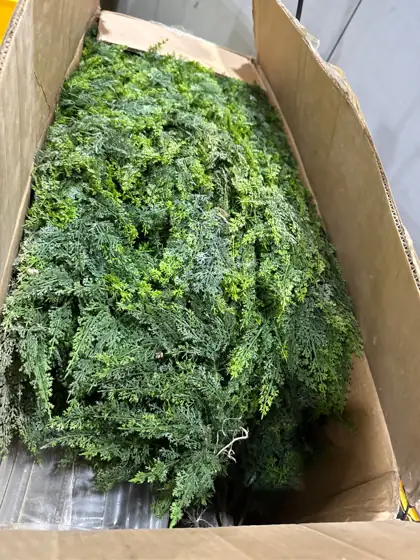 AOKIIE 6FT Artificial Cedar Topiary… — Photo 4