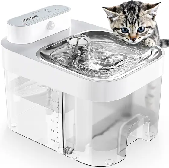 Dog Water Fountain — Photo 1