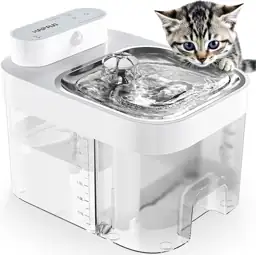 Dog Water Fountain — Photo 1