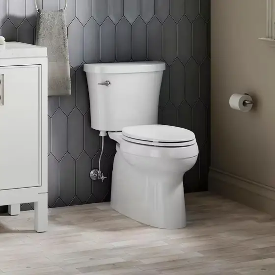 KOHLER Gleam 12-in. Rough-In 2-Piece… — Photo 2