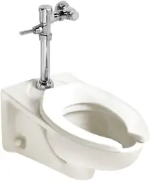 American Standard Ultima Manual Toilet… — Photo 2