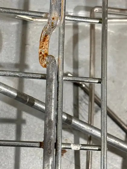 Live Animal Cage Trap 31x10x12… — Photo 4