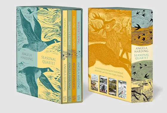 Angela Harding Seasonal Quartet Boxset:… — Photo 1