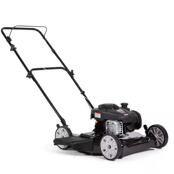 20 in. 125 cc Briggs… — Photo 1