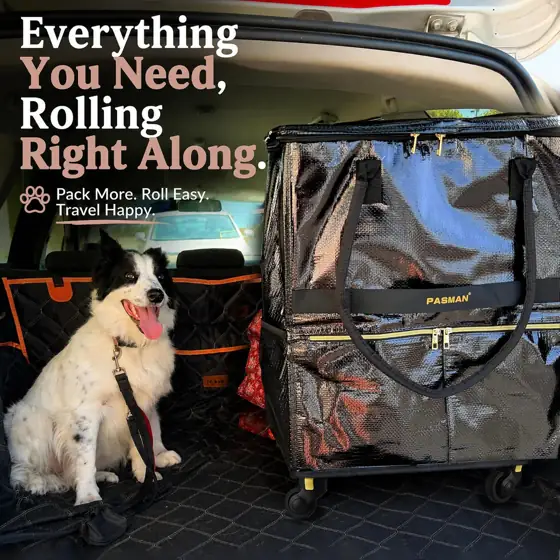 PASMAN Reusable Foldable Rolling Grocery… — Photo 2