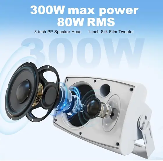 Herdio 8-Inch 600W Outdoor Passive… — Photo 2