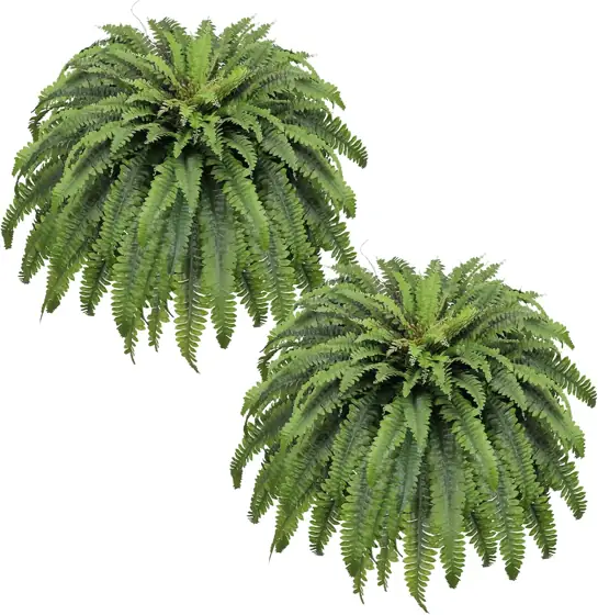 50" Fake Ferns Artificial Plants… — Photo 1