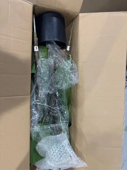 5.2FT Artificial Rubber Tree -… — Photo 4