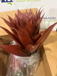 22 Inch Artificial Agave Plants… — Photo 5