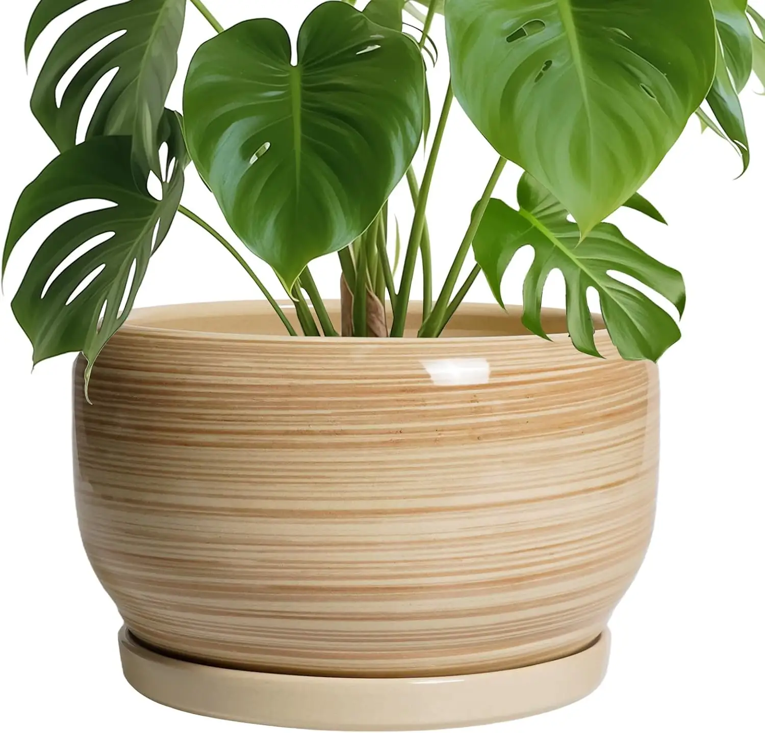SQOWL Ceramic Plant Pot -… — Photo 1