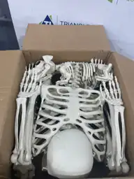 NEROSUN 5.4FT Halloween Skeletons, Posable… — Photo 4