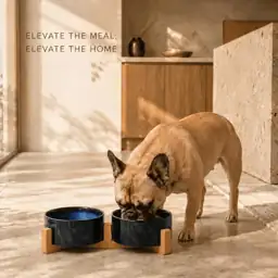 SPUNKYJUNKY Dog Cat Ceramic Bowl… — Photo 2