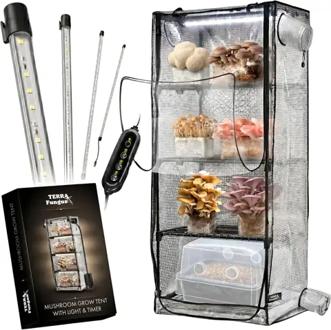 Mushroom Grow Tent with 6500K… — Photo 1