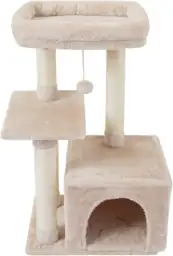 Cute Cat Tree Kitten Cat… — Photo 1