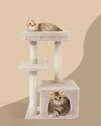 Cute Cat Tree Kitten Cat… — Photo 2