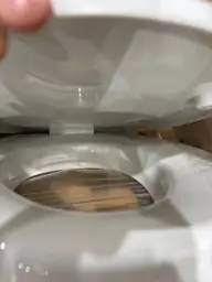 Lunderg Raised Toilet Seat with… — Photo 6