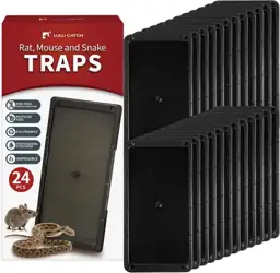 LULUCATCH Mouse Glue Traps 24… — Photo 1