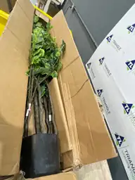 Bailikang Artificial Ficus Tree 6ft,… — Photo 4