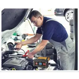 Everstart Maxx 15 Amp Automotive… — Photo 2