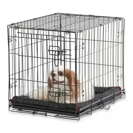 Vibrant Life Single-Door Folding Dog… — Photo 1