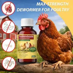 Chicken Dewormer Suspension for Laying… — Photo 2
