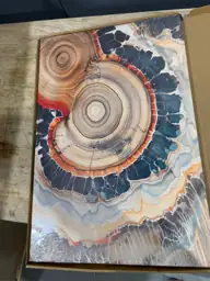Tree Ring Wall Art Framed,… — Photo 3
