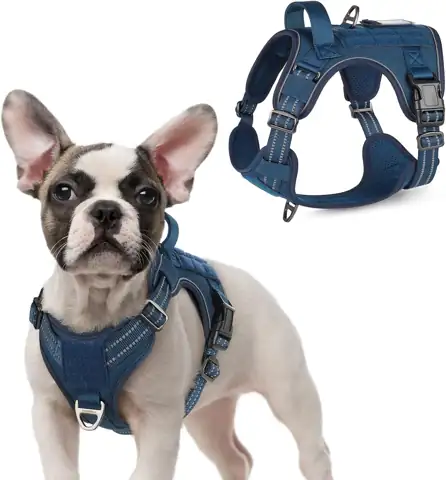 rabbitgoo Tactical Dog Harness for… — Photo 1
